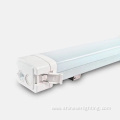 IP65 Tri-proof LED Light for Indoor and Outdoor